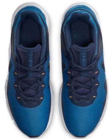 Nike CQ9356-402 Legend Essential 2 shoes